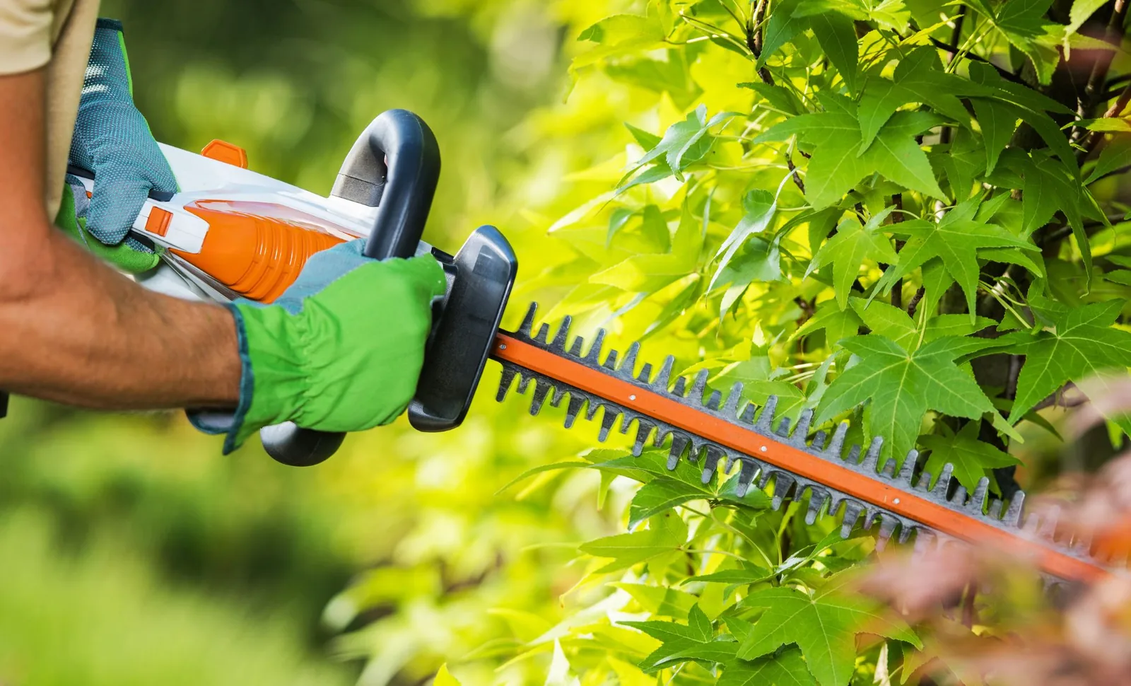 Commercial landscape maintenance by ASRE